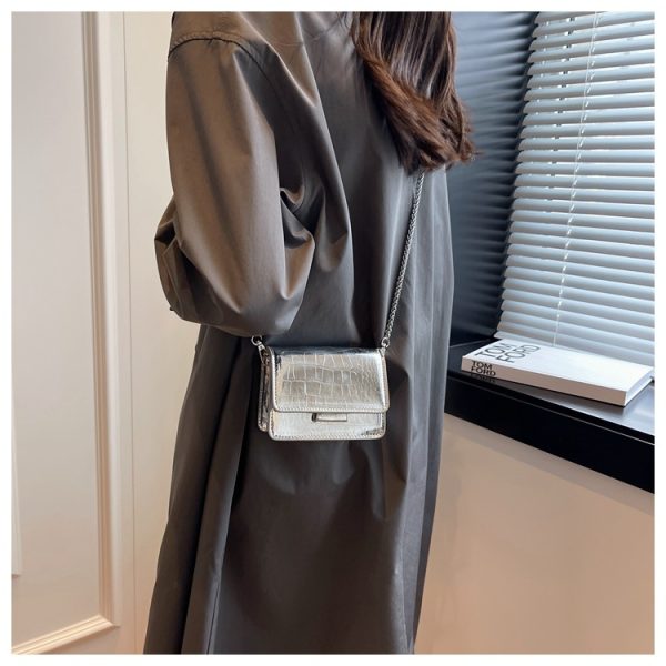 Guide to Chic Small Crossbody Pursuit: BIMBA Y LOLA FW24